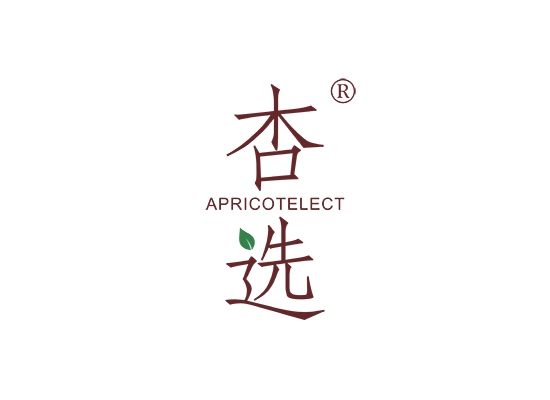 杏选 APRICOT ELECT