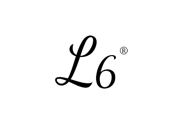 L   6