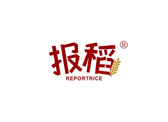 报稻 REPORTRICE